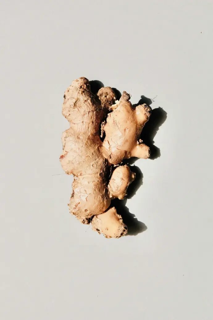 brown and white stone fragment